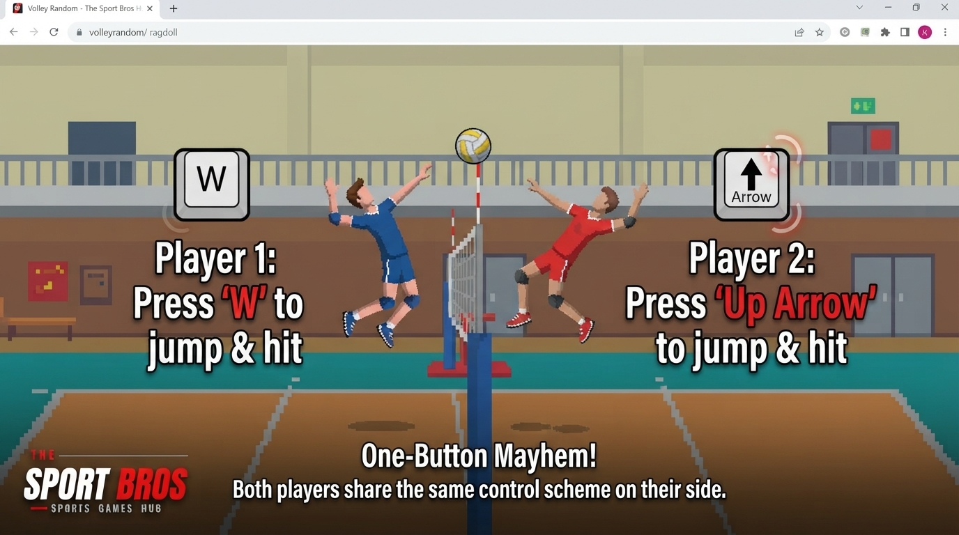 Volleyball Bros vs Volley Random vs Volleyball Legends
